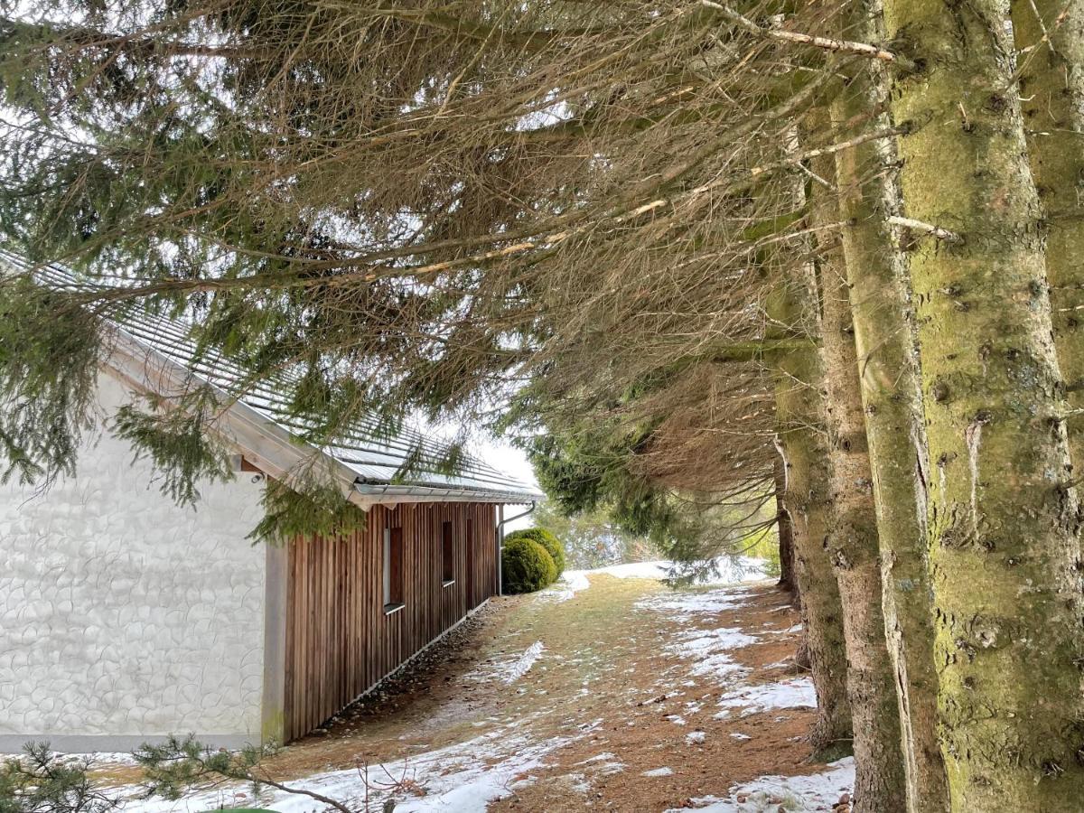 Teichalm Lodge Landhaus Fladnitz an der Teichalm Exterior foto